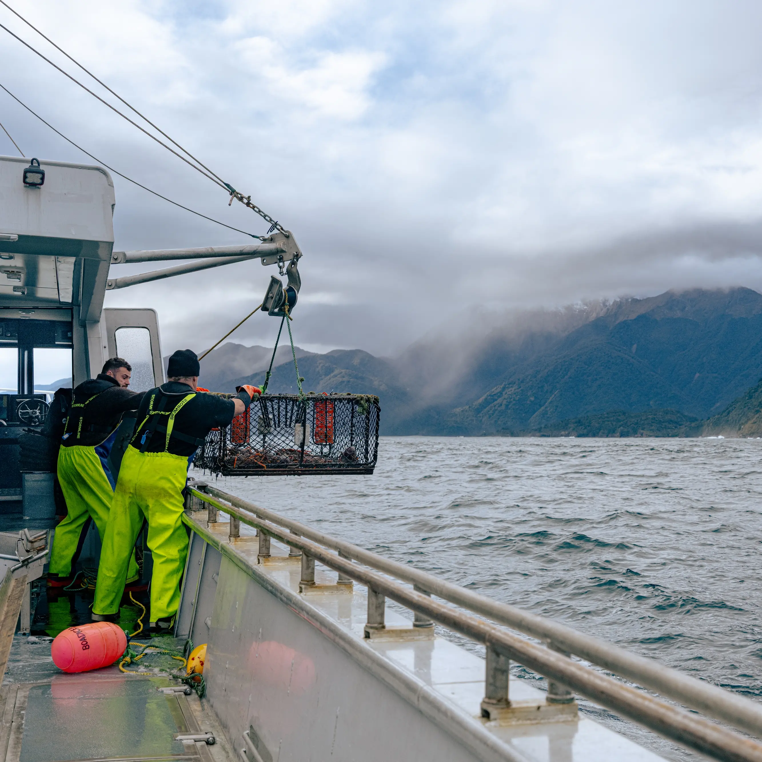 From sea to plate: Fiordland Lobster Company embracing AI lobster-tracing technology