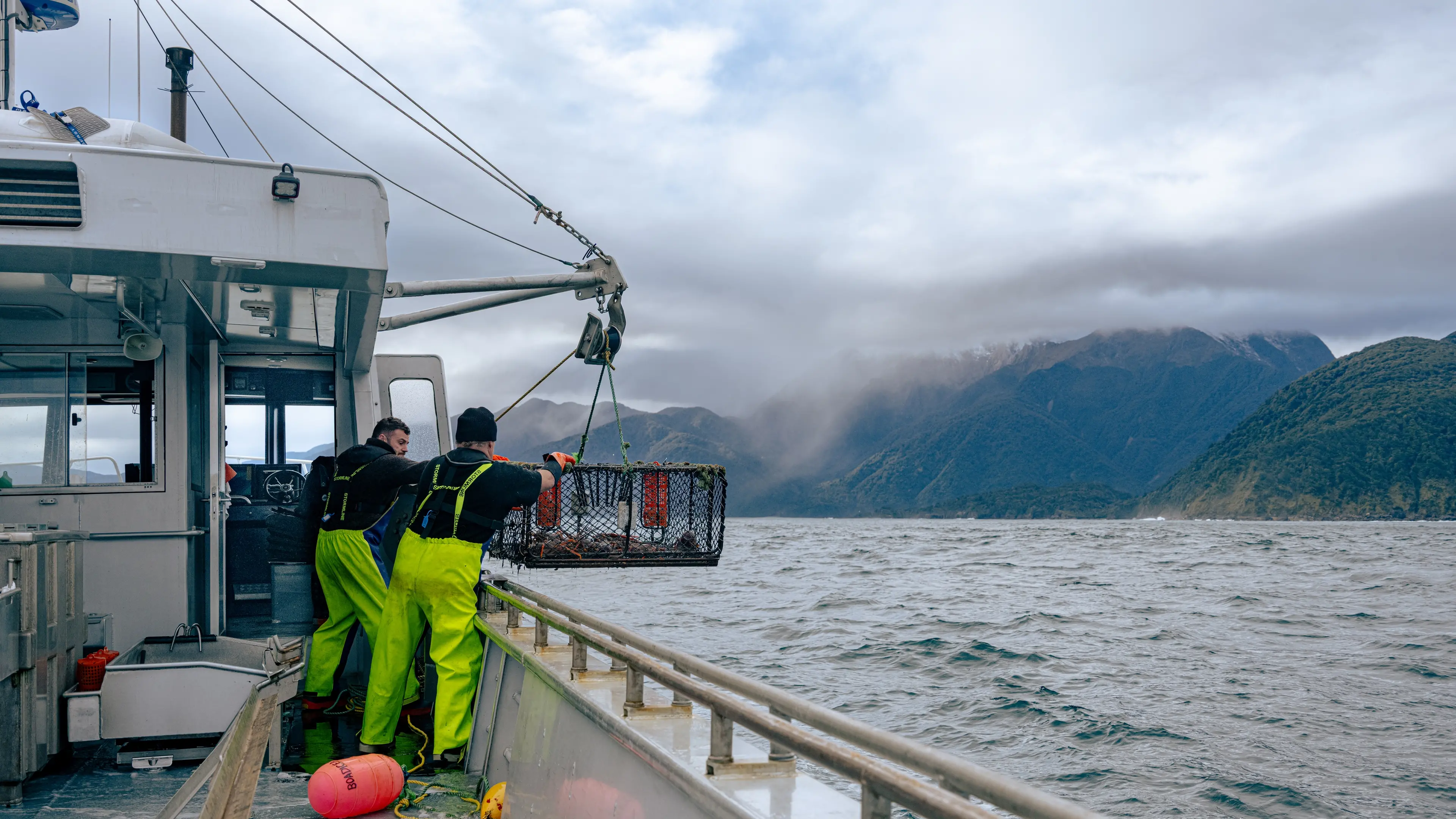 From sea to plate: Fiordland Lobster Company embracing AI lobster-tracing technology