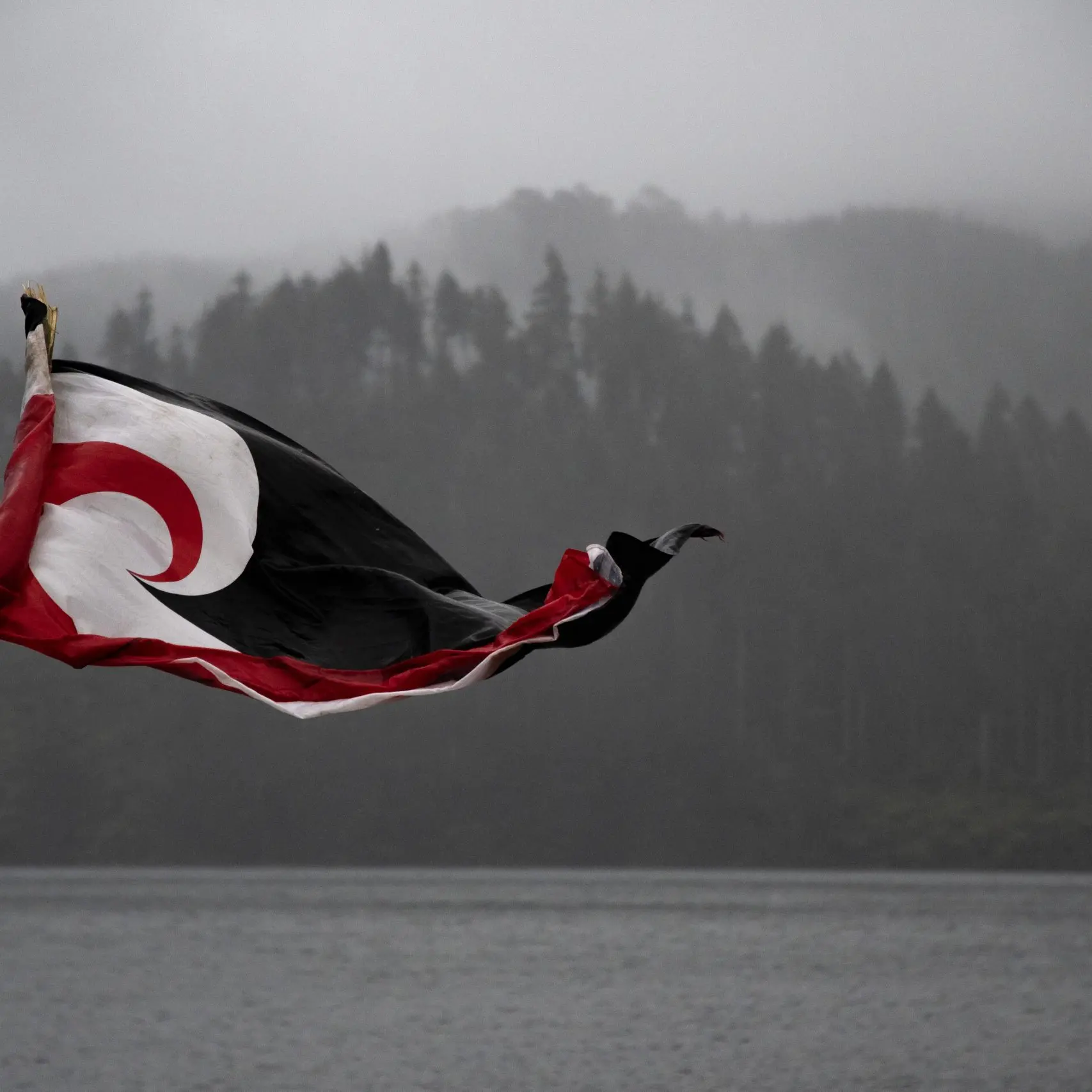 'Linguistic oppression': the little-known rule impacting te reo speakers at councils