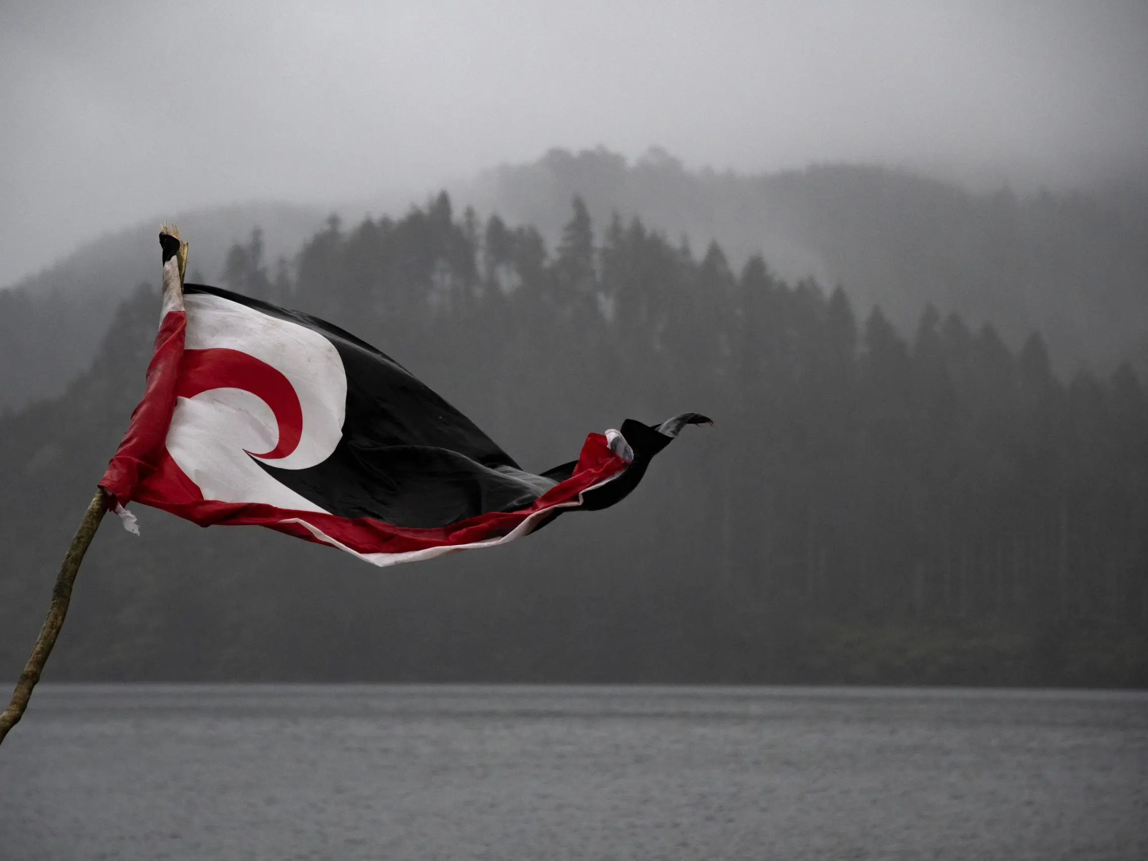 'Linguistic oppression': the little-known rule impacting te reo speakers at councils