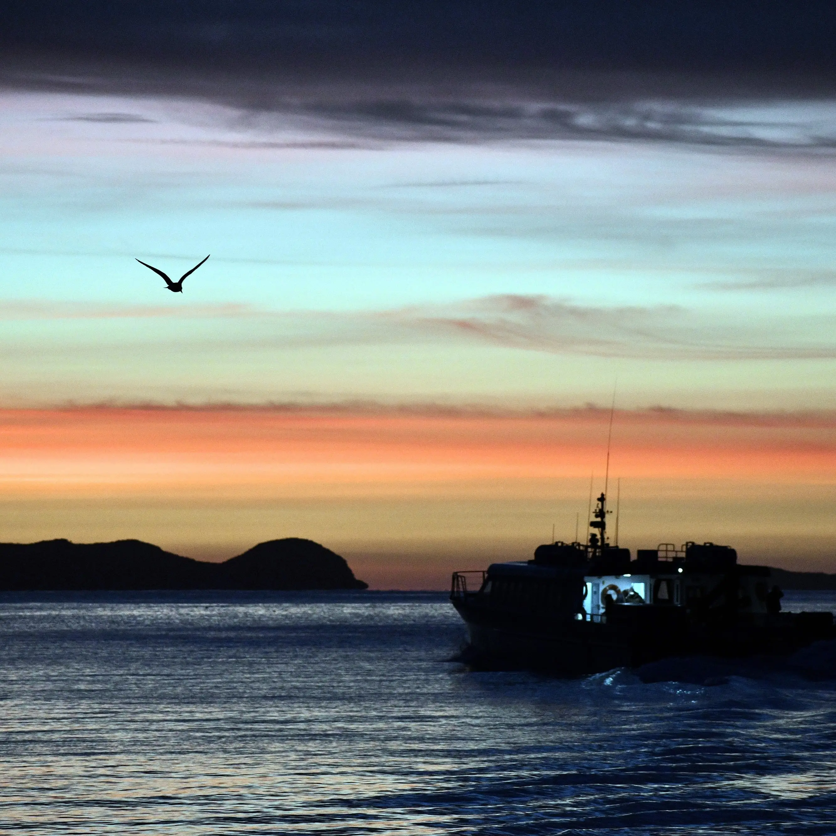 More large salmon farms planned for Southland