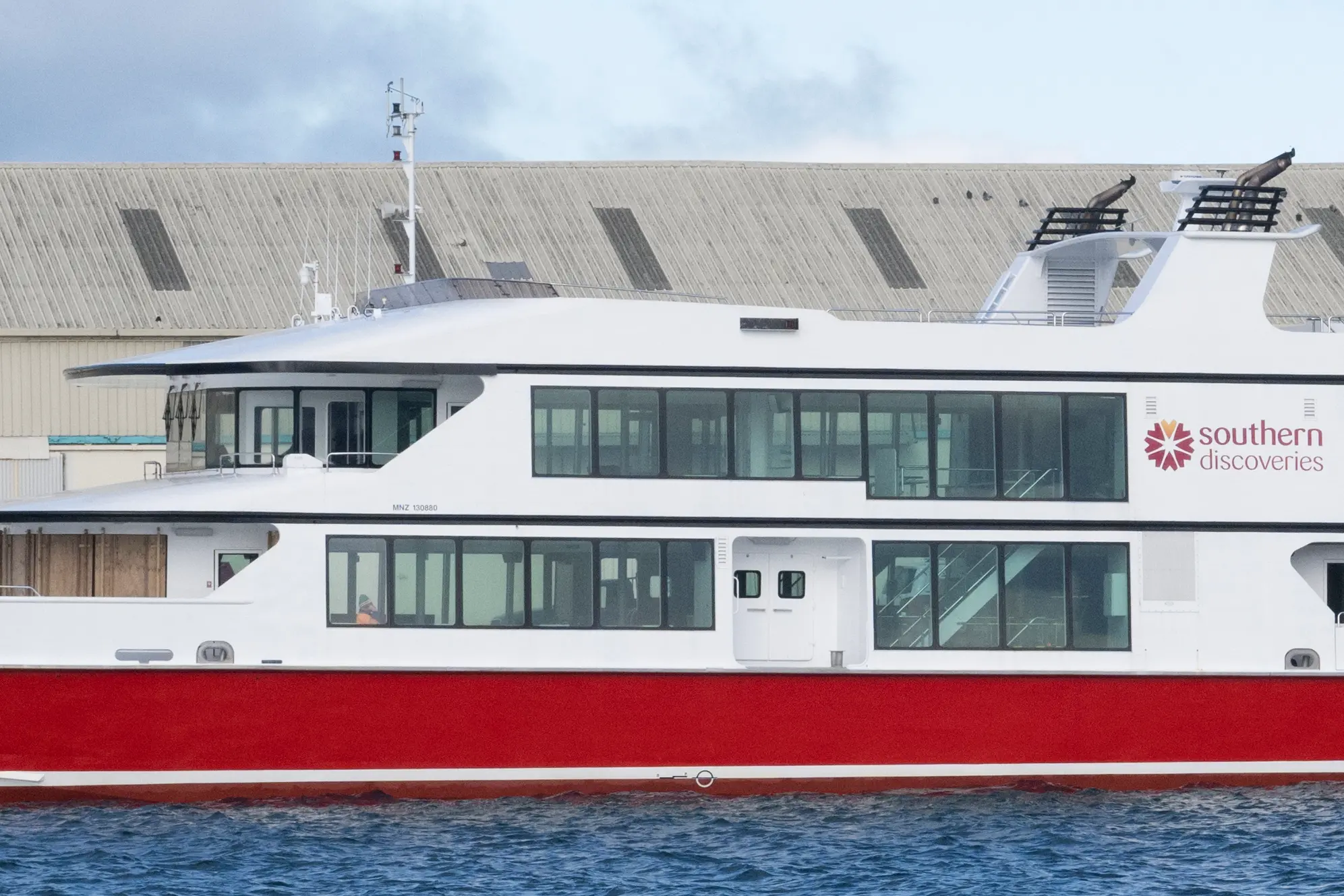 The Southern Discoveries Pride of Milford catamaran at the Jetty Street Wharf in Dunedin on Tuesday. Photo: Gerard O\\'Brien