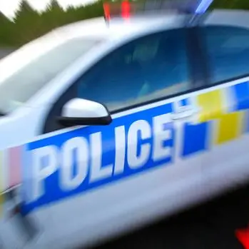 Car thieves hit four Queenstown suburbs