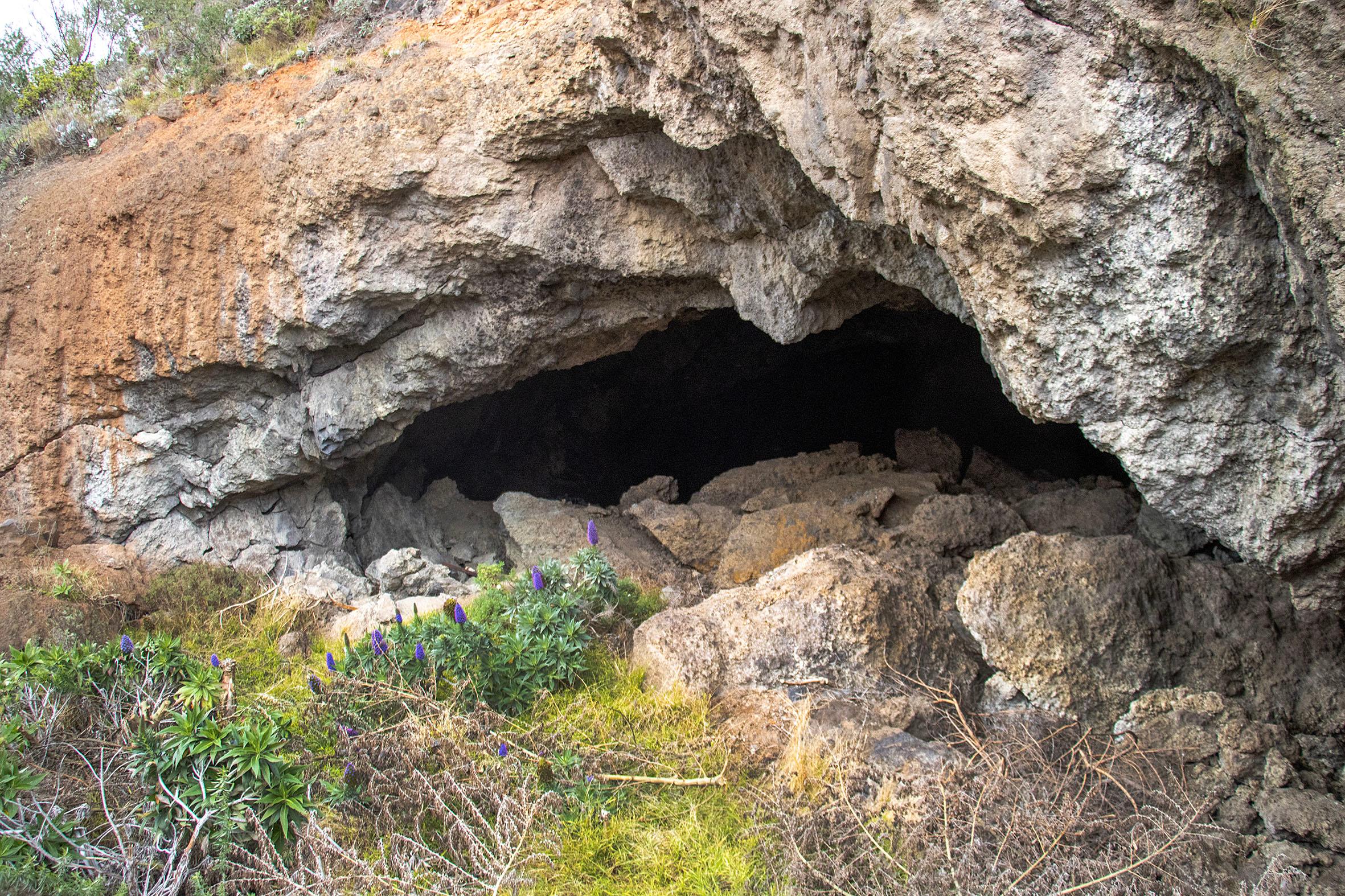 Site investigation into cave upgrades