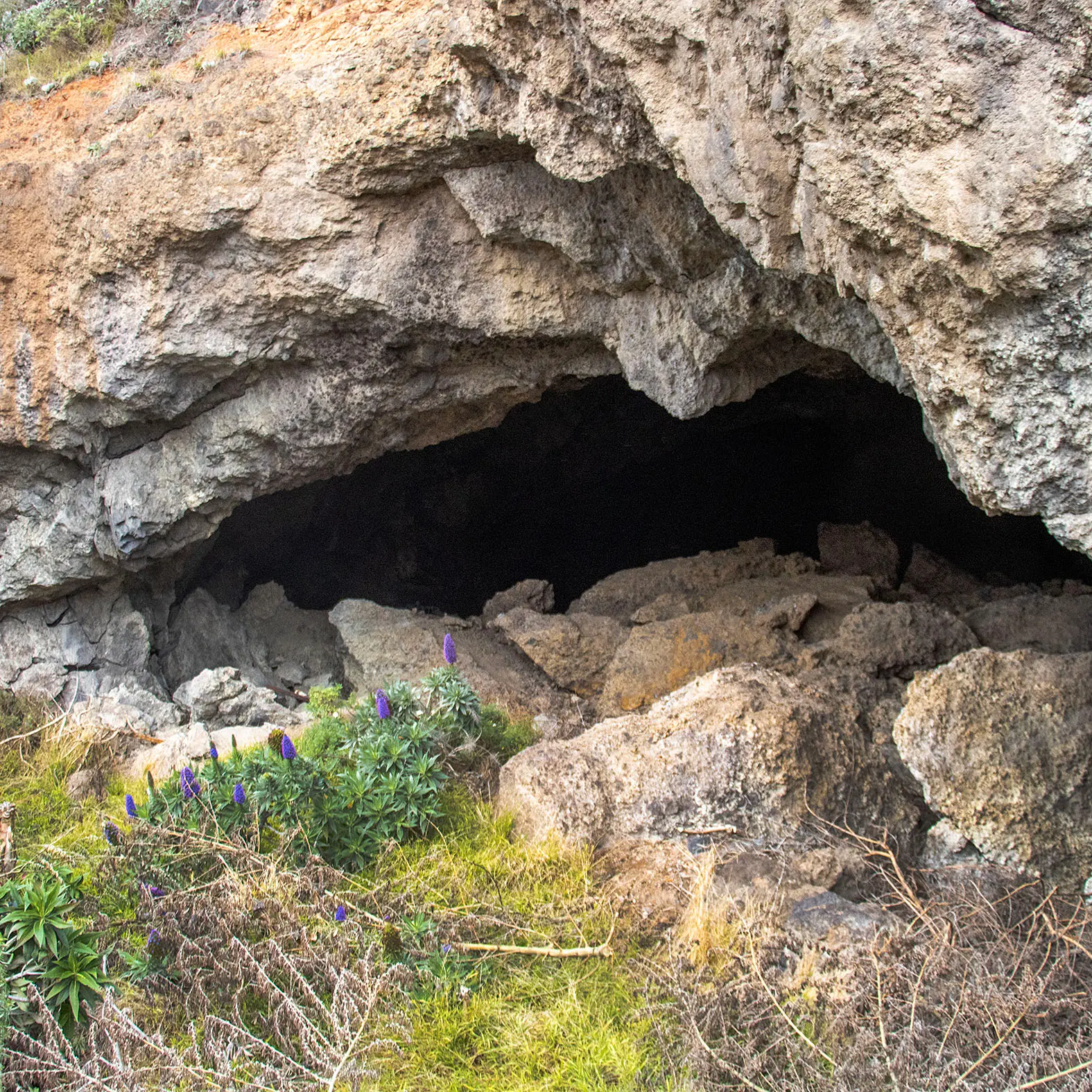 Site investigation into cave upgrades