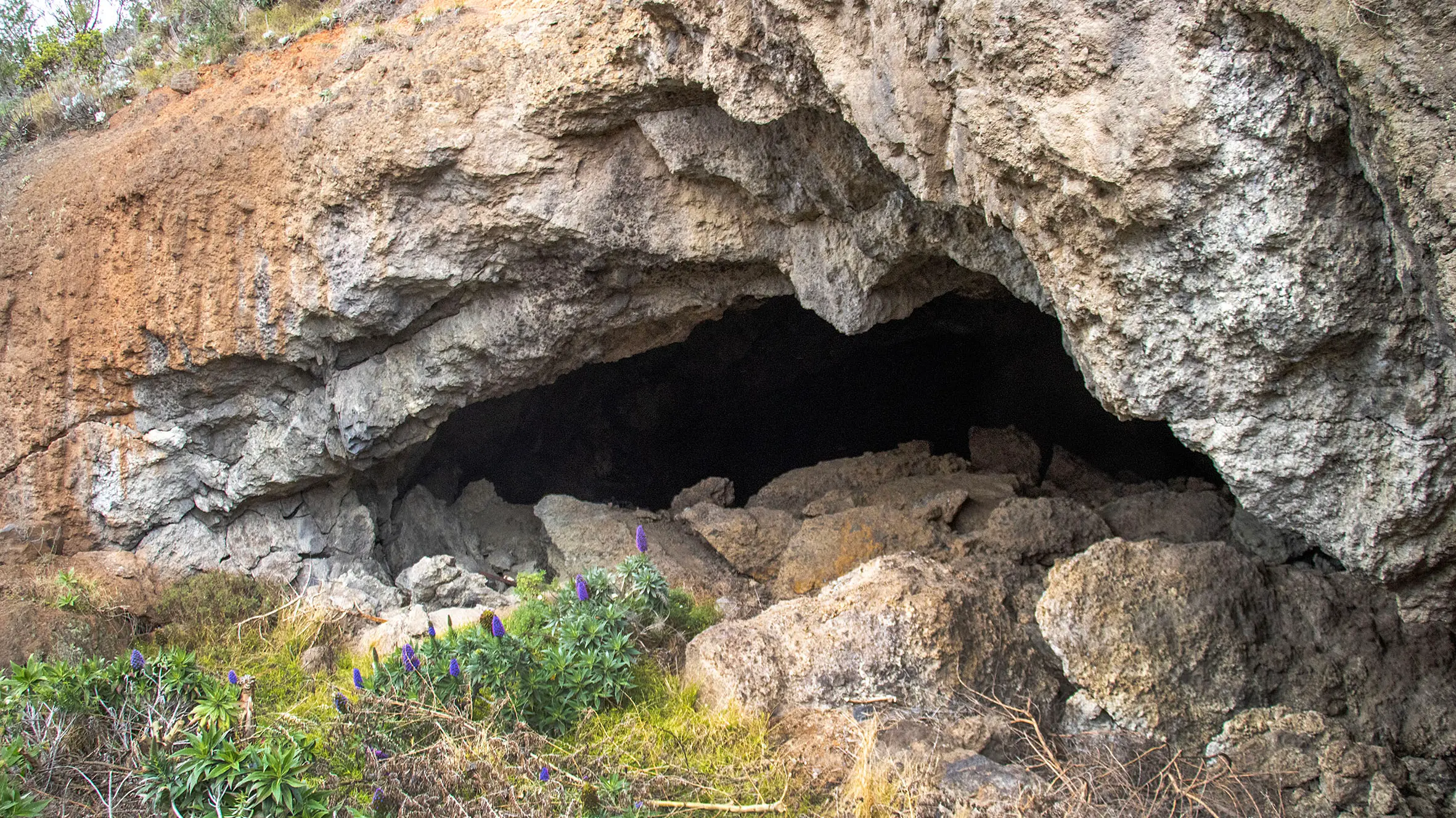 Site investigation into cave upgrades