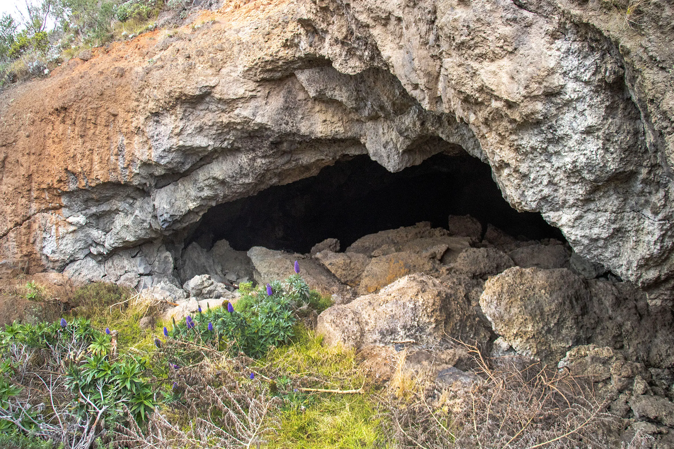 Te Ana o Hineraki/Moa Bone Point Cave and Moncks Cave have been fenced off since the earthquakes for safety reasons. Photo: Geoff Sloan