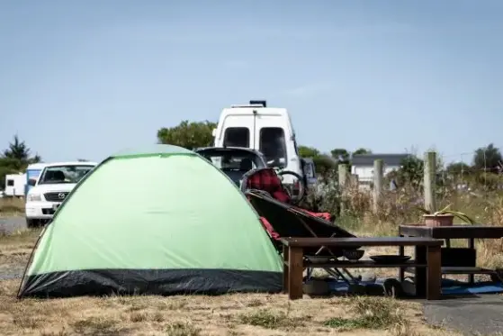 Bexley\\'s Wetlands Grove. Photo: RNZ / Nate McKinnon