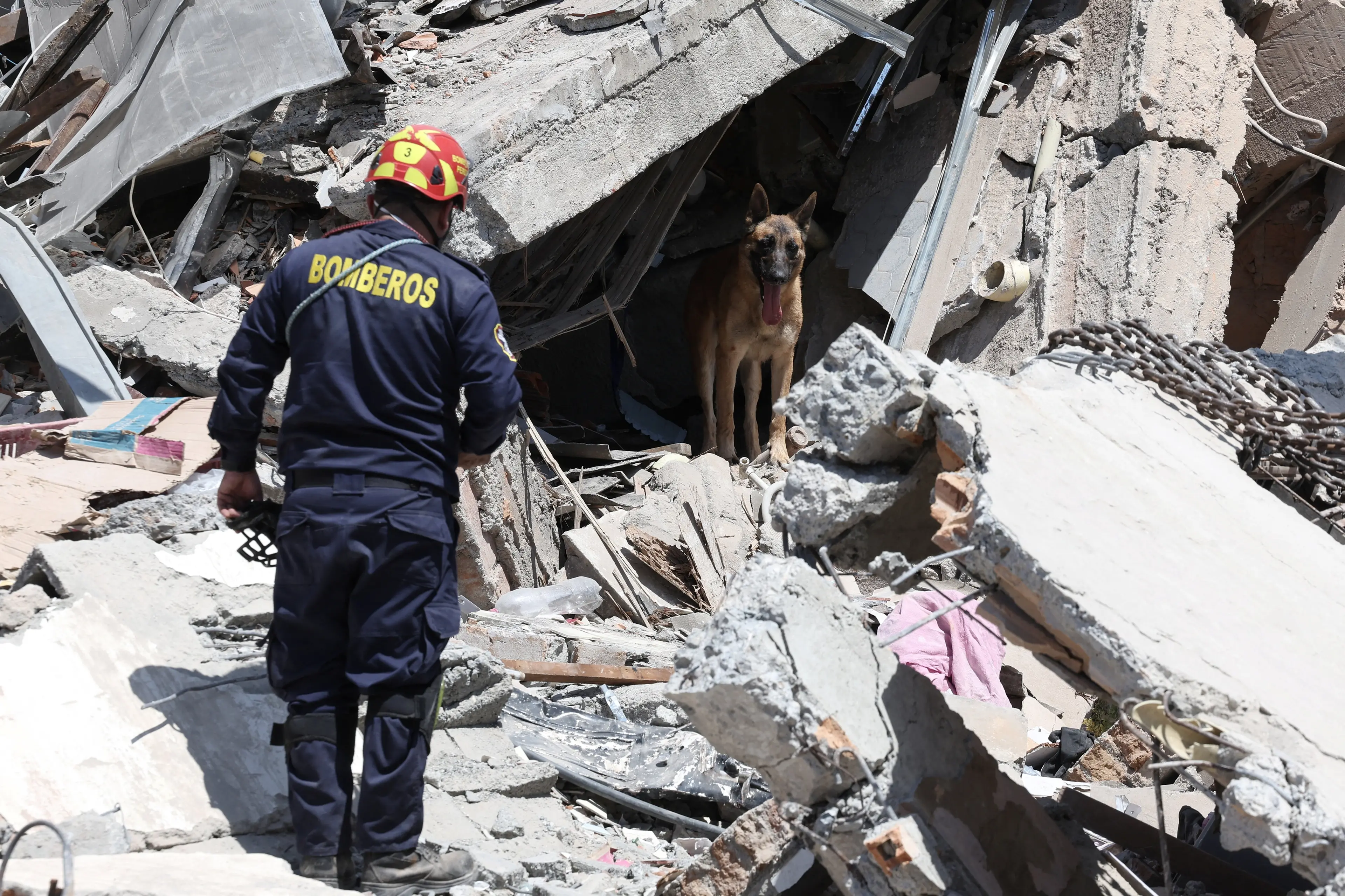 <p>A rescue dog and a firefighter stand amid rubble at the site of a damaged building following an earthquake, in Pereira, Colombia. Photo: Reuters</p>\\n