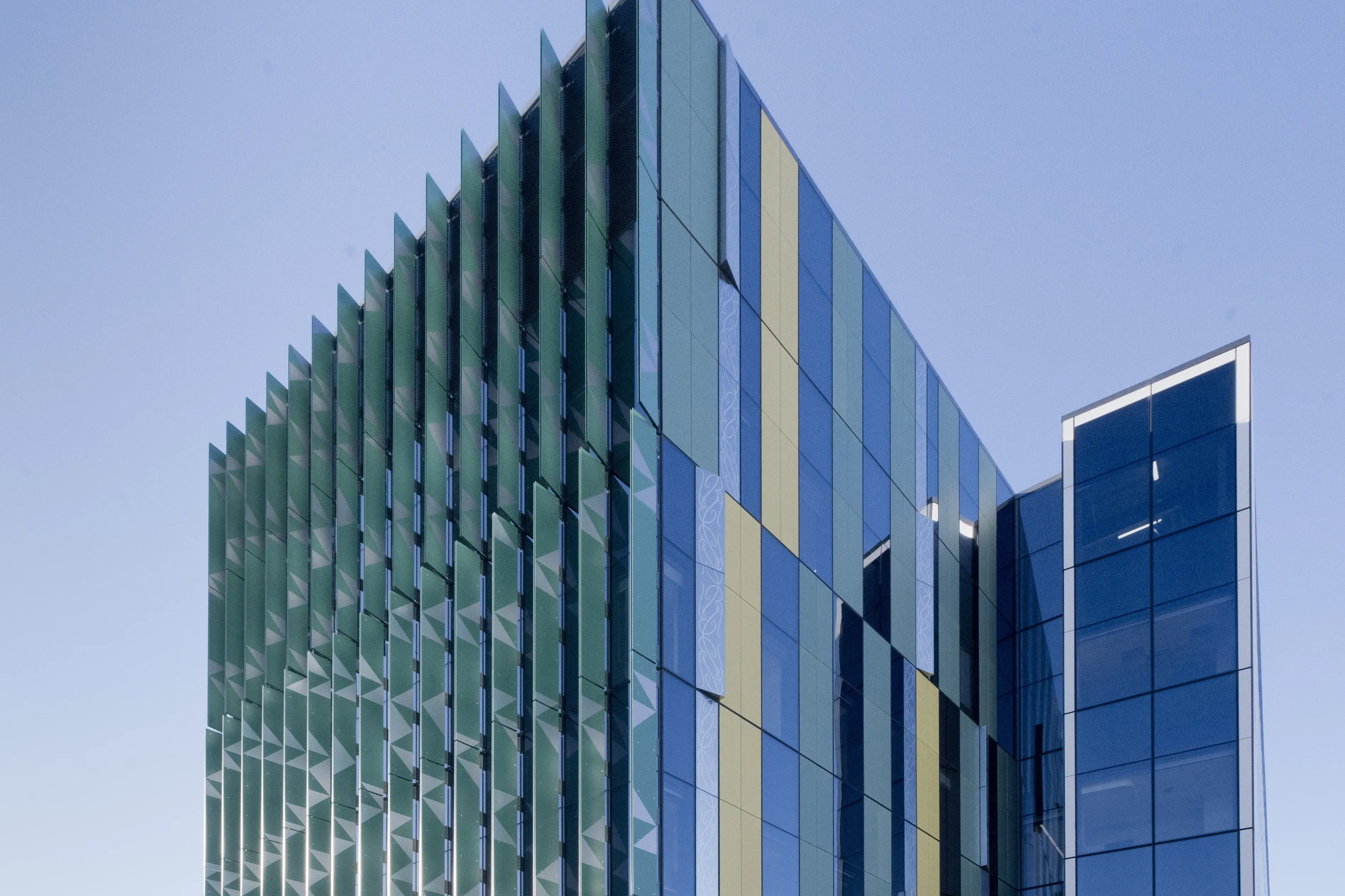 Native plants have been used to landscape the front of the new Dunedin hospital outpatients building. Photo: Gerard O\\'Brien