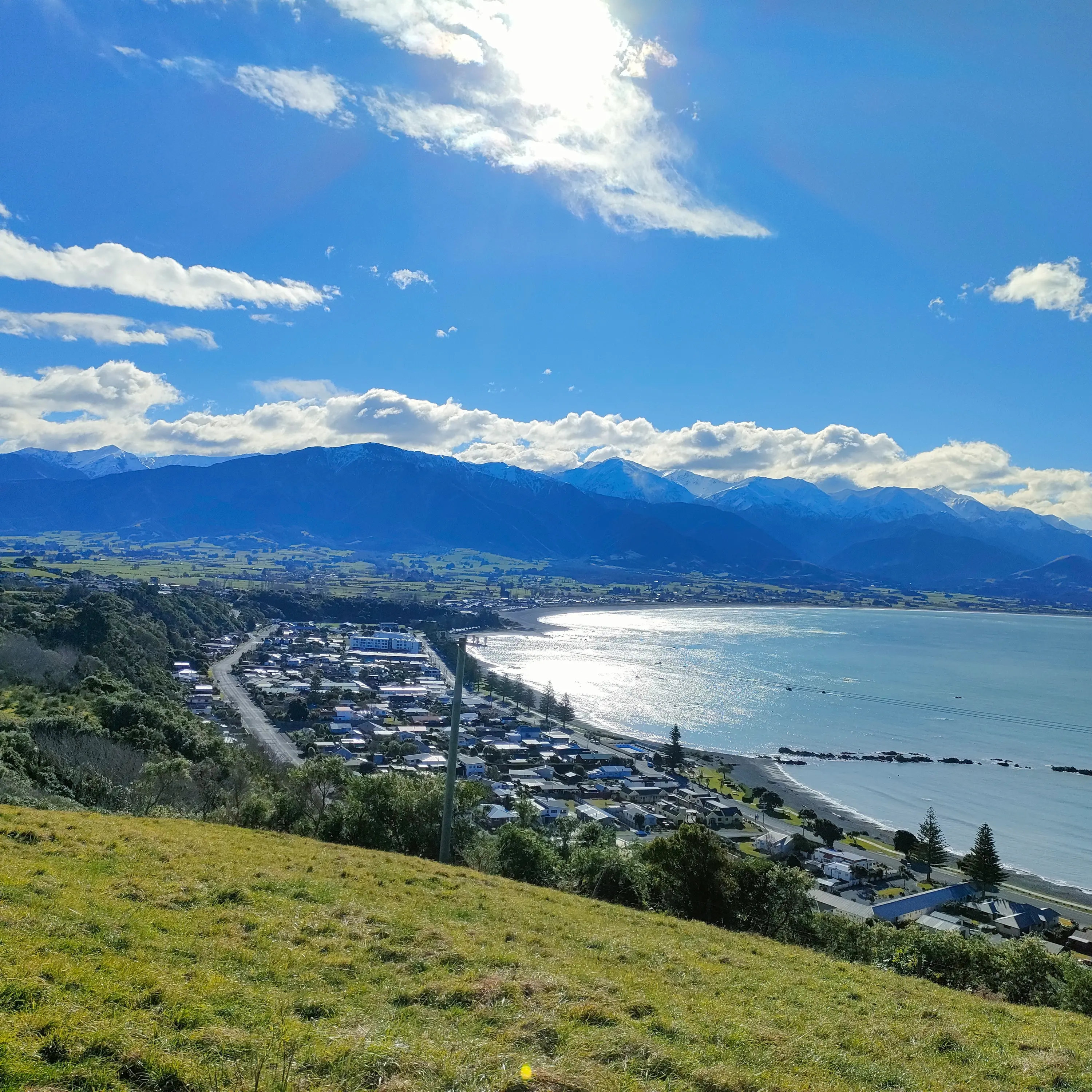 Kaikōura mayor seeks local alcohol data