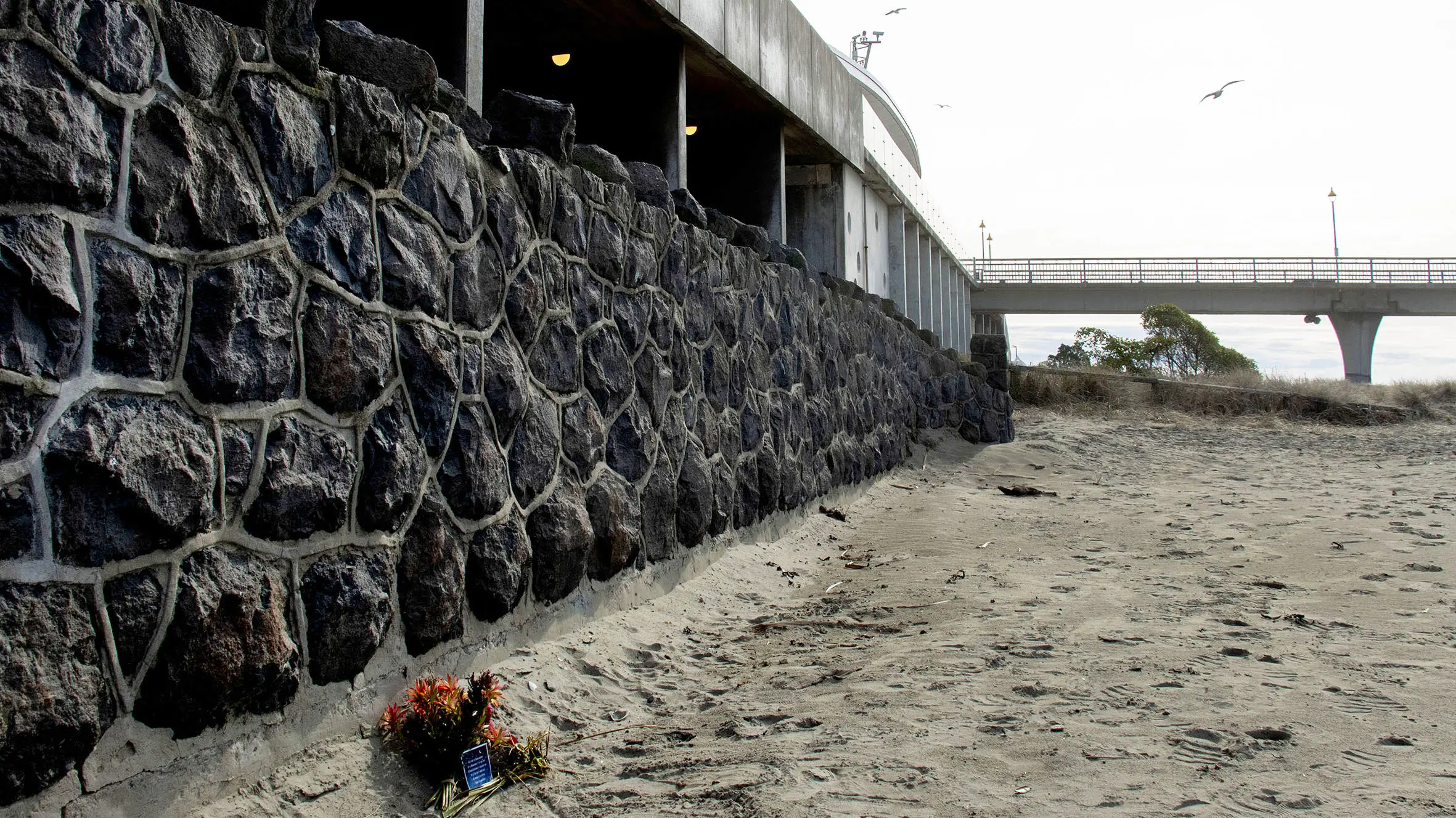 Calls for help went unanswered in lead-up to homeless woman’s death