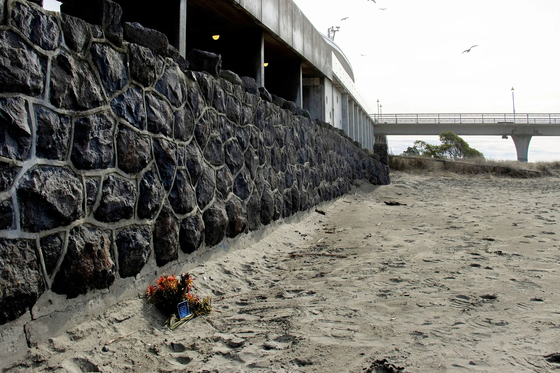 Hayley was found lying in wet sand beside the seawall near the New Brighton Pier ramp. PHOTO: GEOFF SLOAN