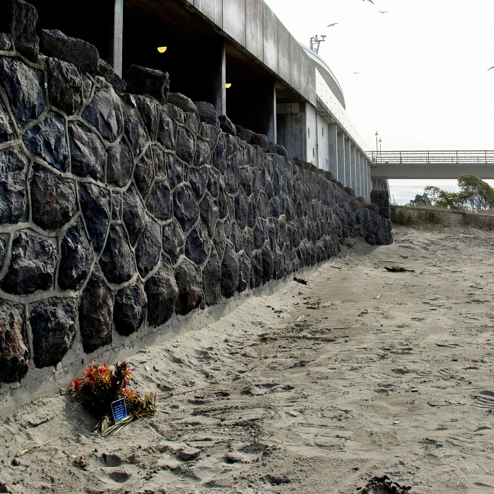 Calls for help went unanswered in lead-up to homeless woman’s death