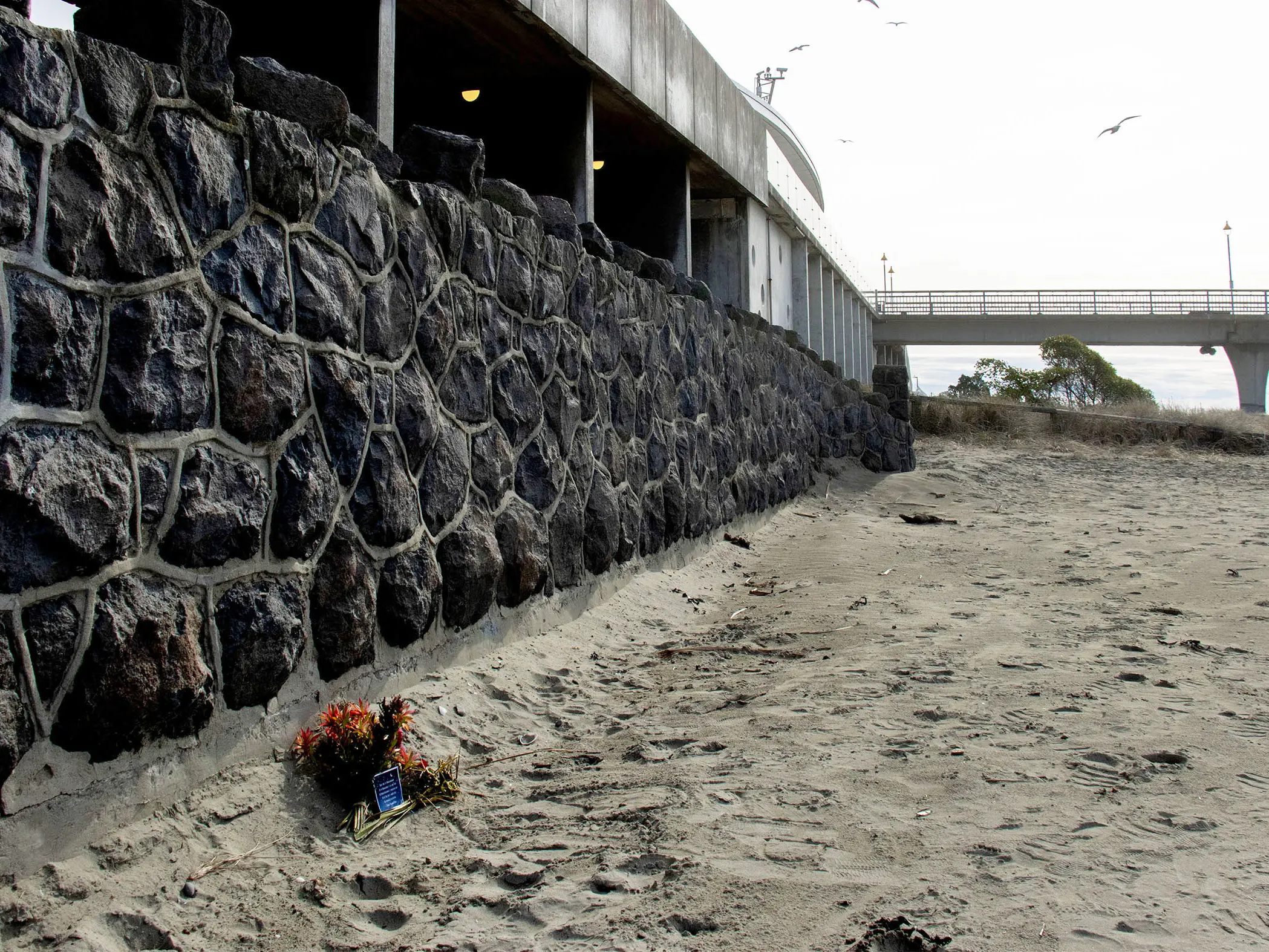 Calls for help went unanswered in lead-up to homeless woman’s death