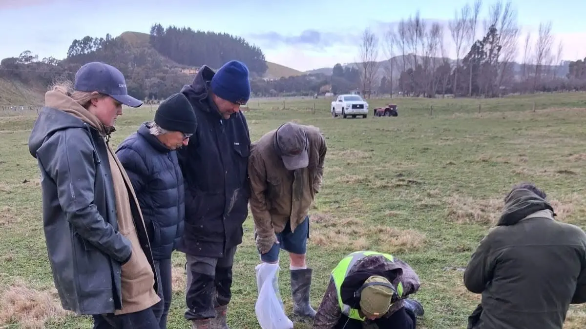 Dunedin geologist part of crack team that discovers visitor from space