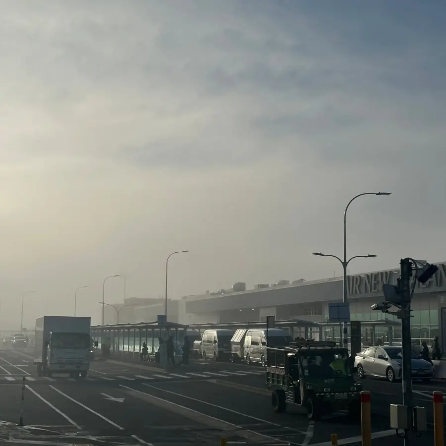 More flights disrupted as fog hits Wellington