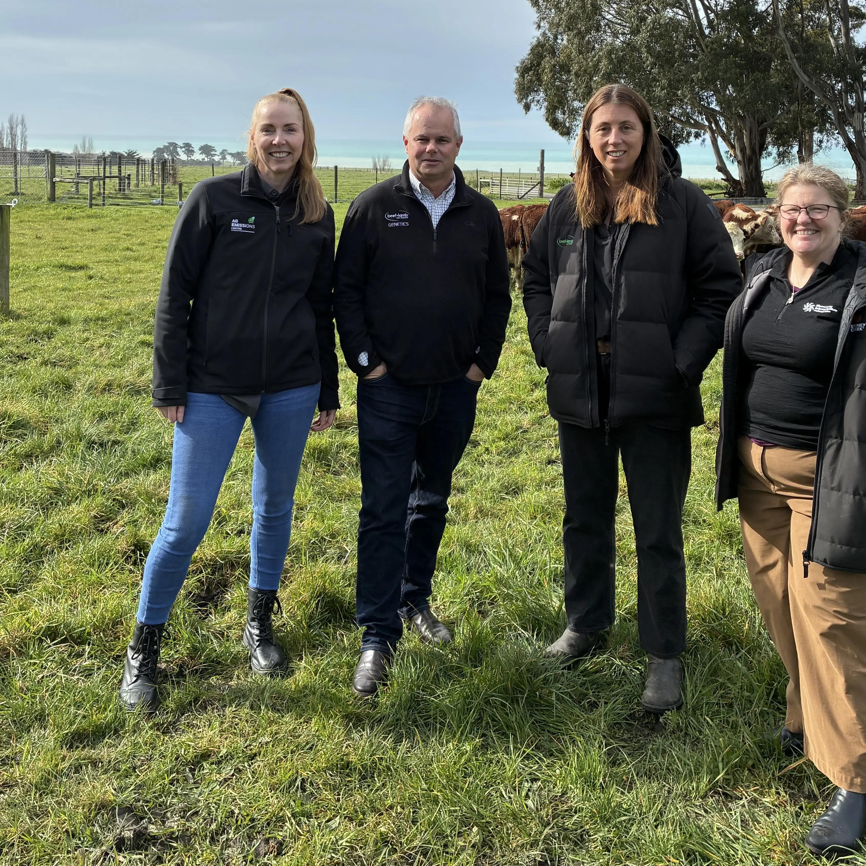 Canterbury beef stud springboard for nationwide project towards low methane and feed efficient cattle