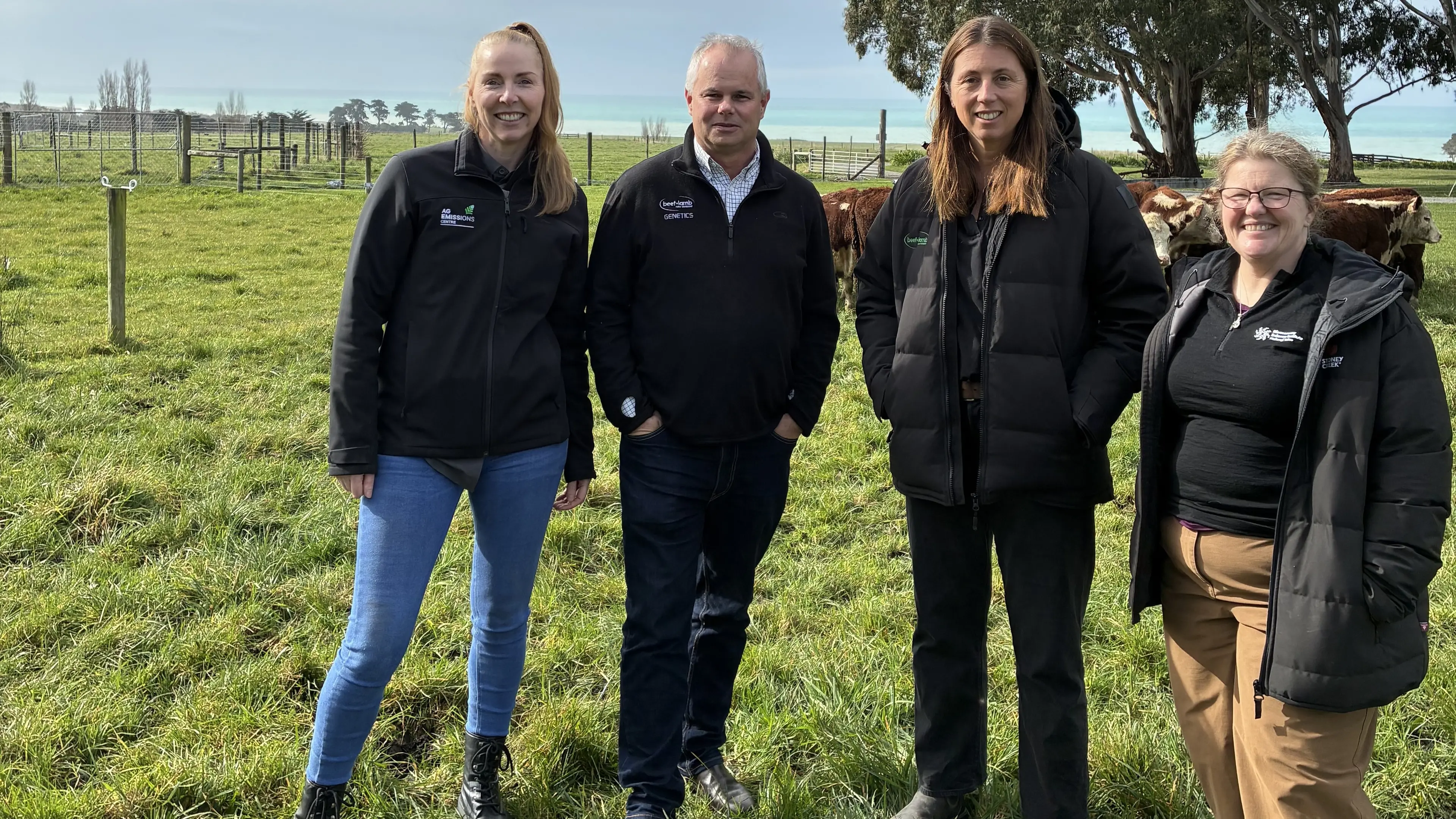 Canterbury beef stud springboard for nationwide project towards low methane and feed efficient cattle