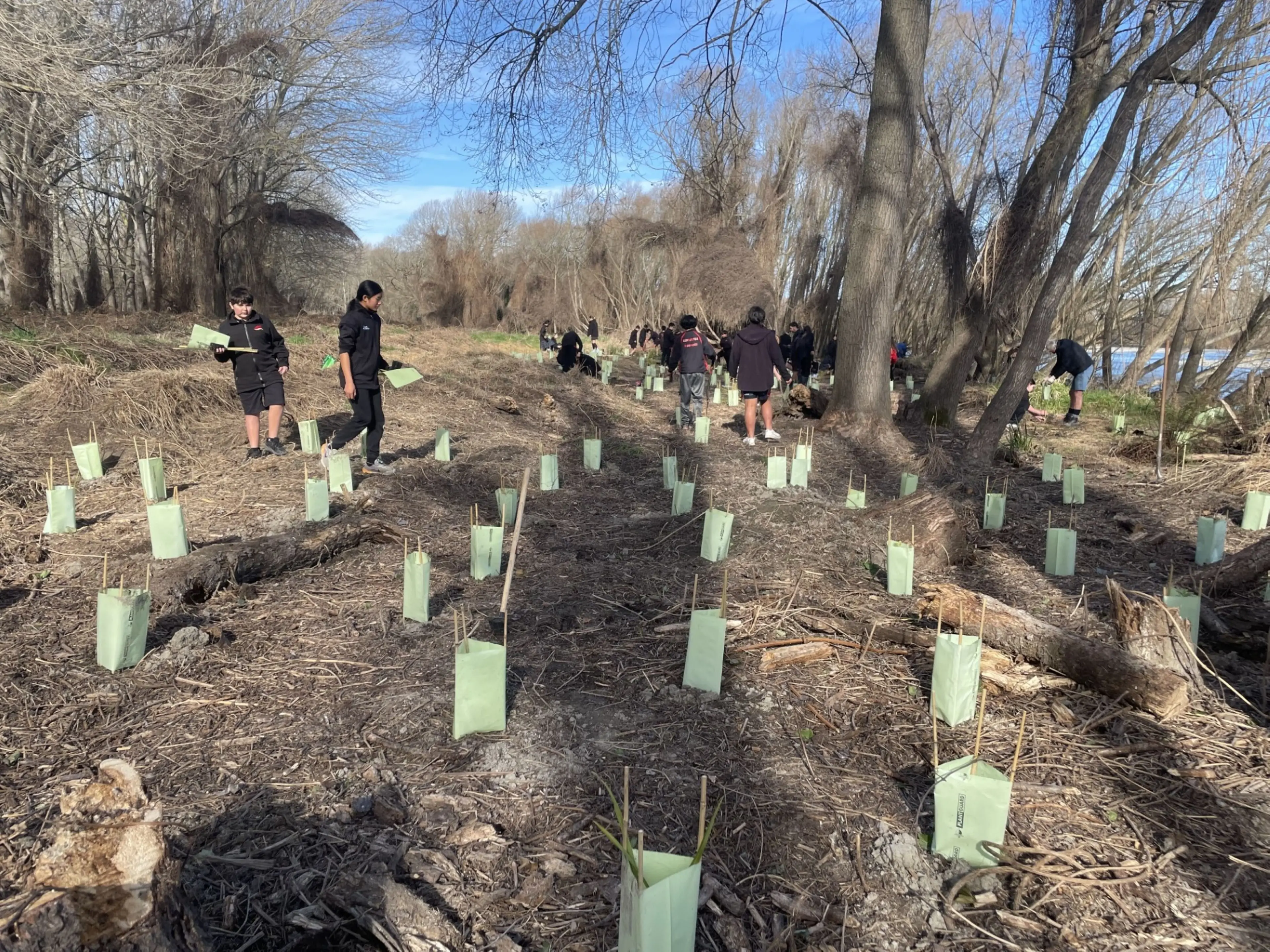 Pupils supporting Ashburton River planting crusade