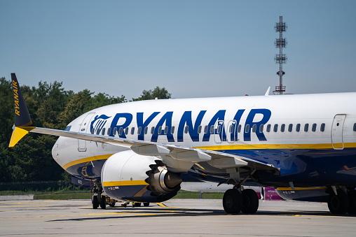 Bird remains found in engine after passenger partially sucked out of plane window