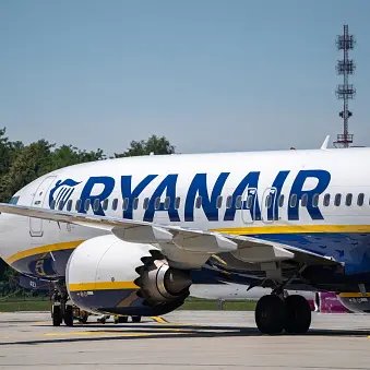 Bird remains found in engine after passenger partially sucked out of plane window