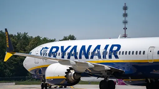 Bird remains found in engine after passenger partially sucked out of plane window