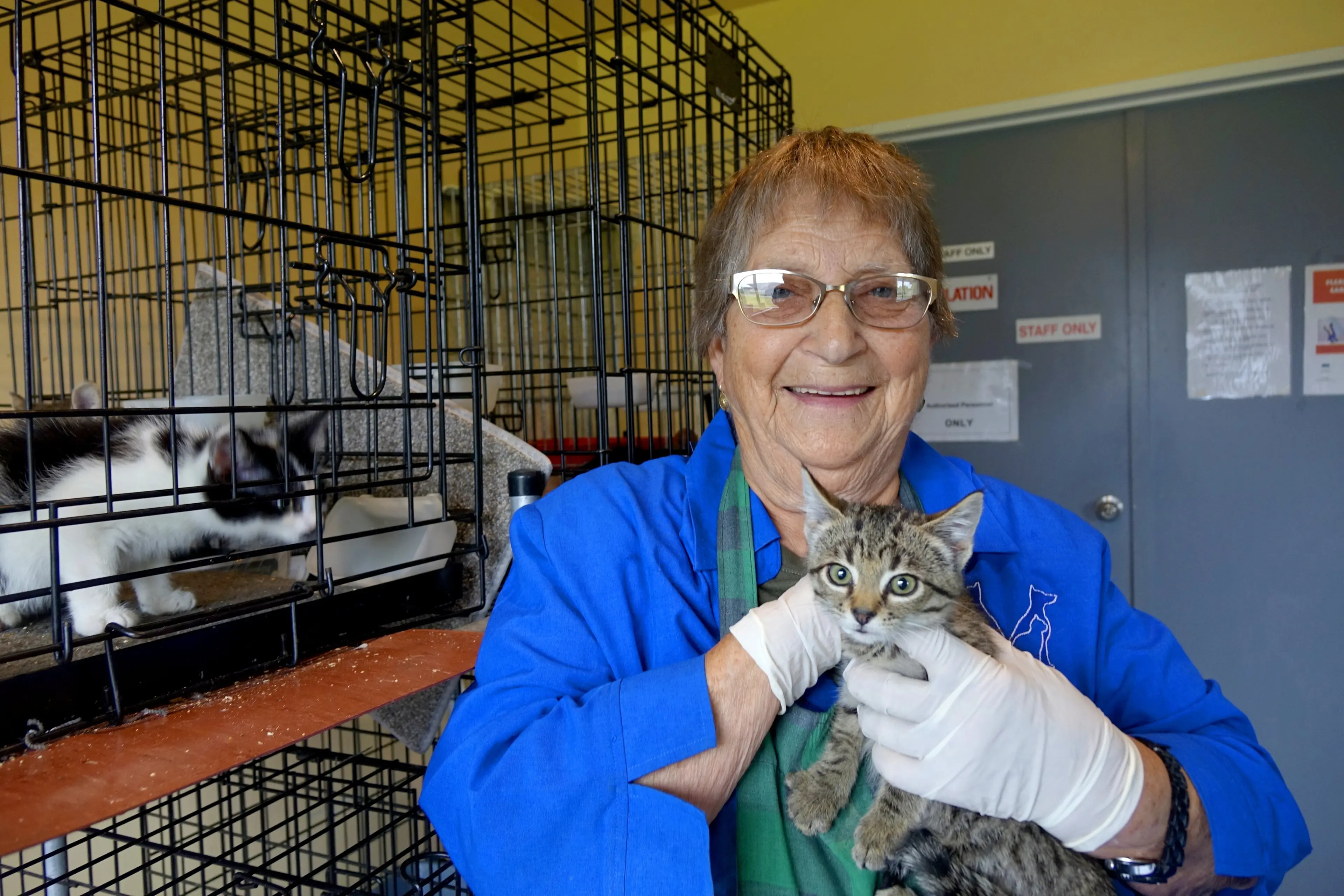 Mid Canterbury Animal Welfare centre manager Rallou Keeley in 2022 with kittens. Photo: File