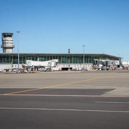 Visitor numbers remain up as South Island maintains record levels