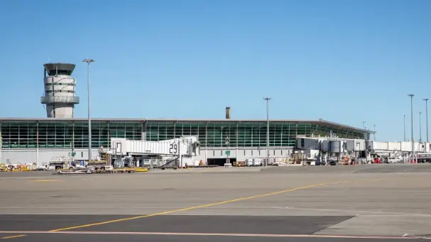 Visitor numbers remain up as South Island maintains record levels