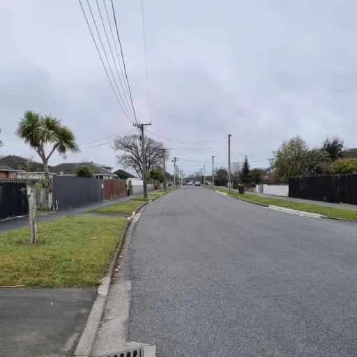 Fatal Christchurch dog attack ‘a tragedy for the family’
