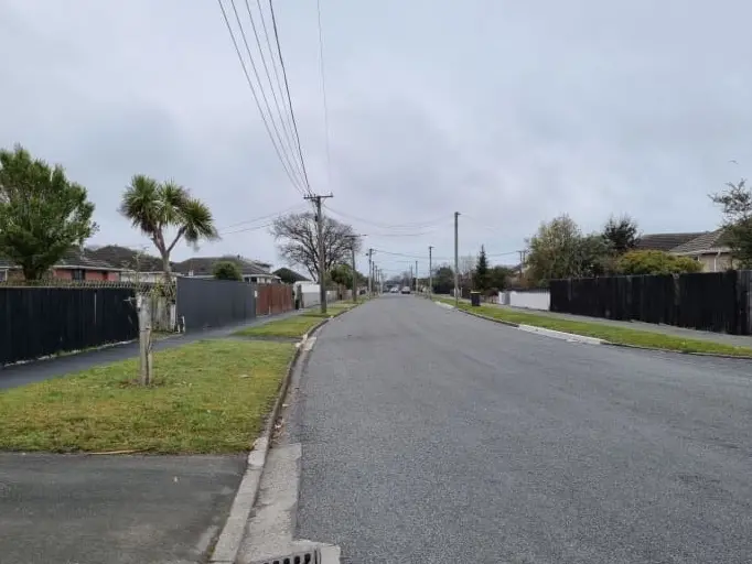 MP shocked by fatal Christchurch dog attack