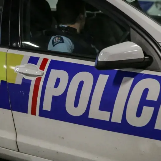 Dangerous driver dodges cops after chase in Dunedin