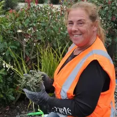Four pollinator pathways created in Rangiora