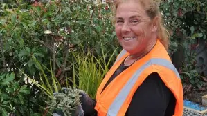 Four pollinator pathways created in Rangiora