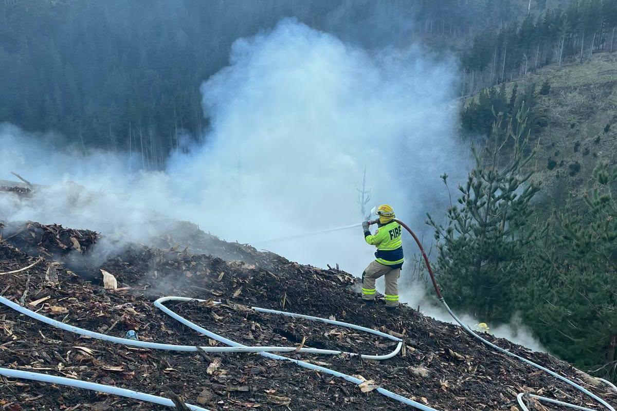 Fire on Port Hills started in ‘slash pile’