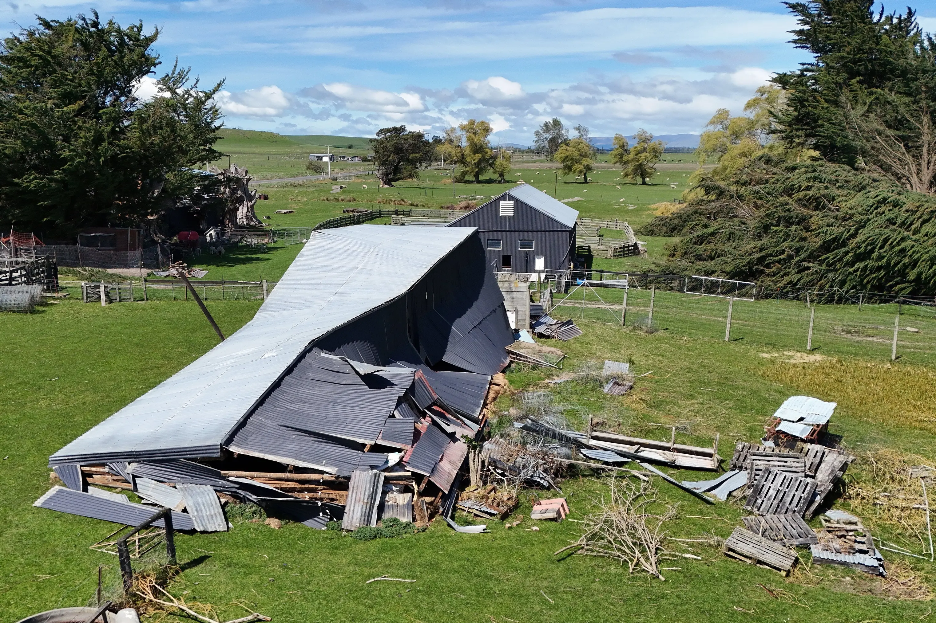 Storm damage near Tuapeka Mouth, caused by high winds during the October 2025 weather event. Photo: Stephen Jaquiery