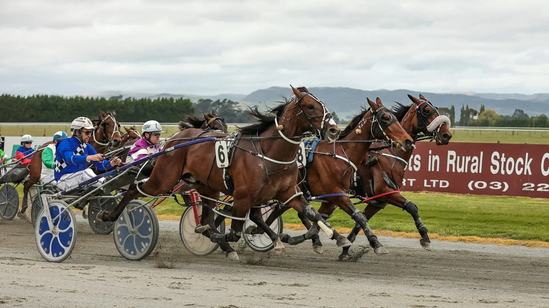 Williamson looking for classy pacer to challenge at the top