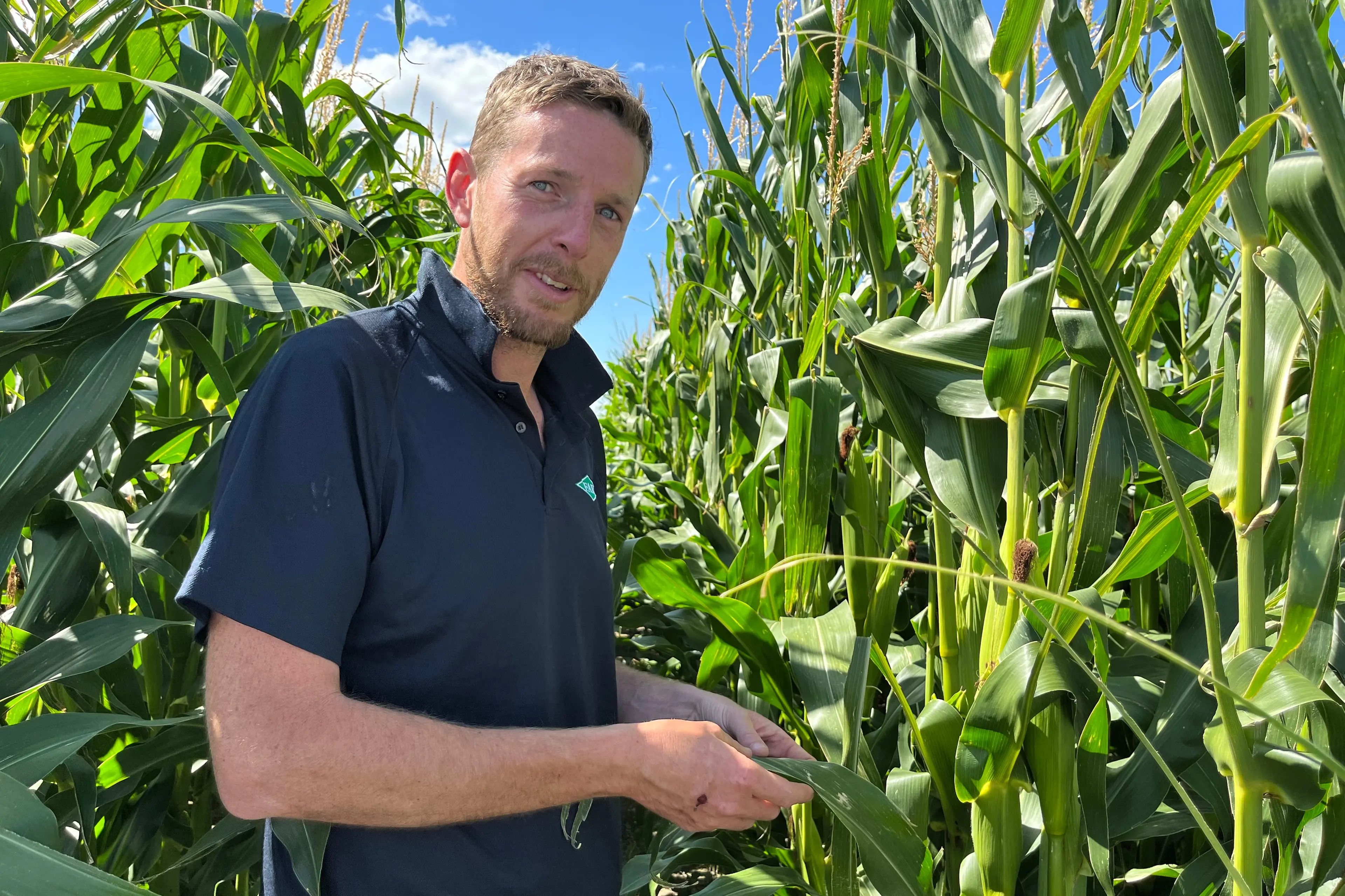 Foundation for Arable Research biosecurity officer Ash Mills is the leader of a three-year project on the maize pest, fall armyworm, due to end in six months. Photo: Supplied