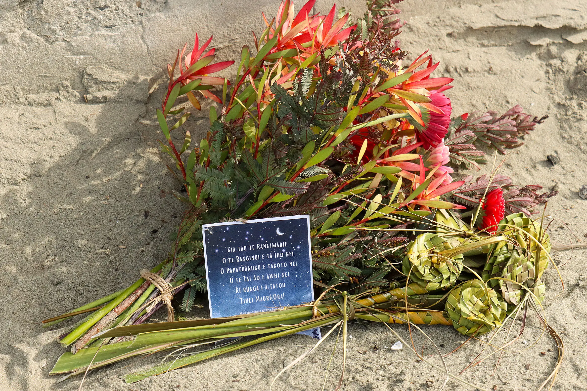 Hayley, 54, had been sleeping rough near New Brighton pier. She was found lying in wet sand shivering beside the seawall during a polar blast. Photo: Geoff Sloan