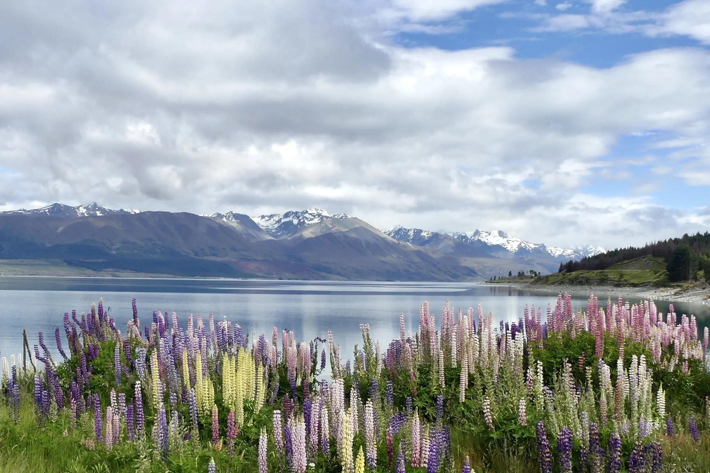 Alpine Fault quake could ‘split Tekapo in two’