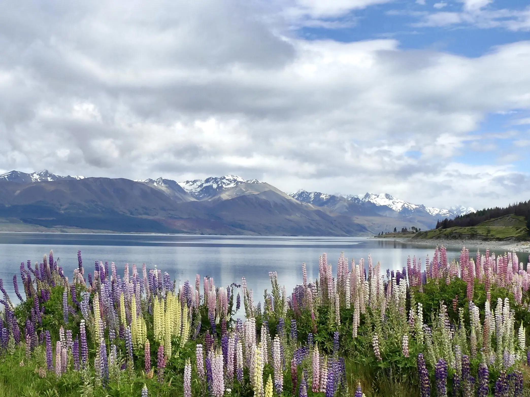 Alpine Fault quake could ‘split Tekapo in two’