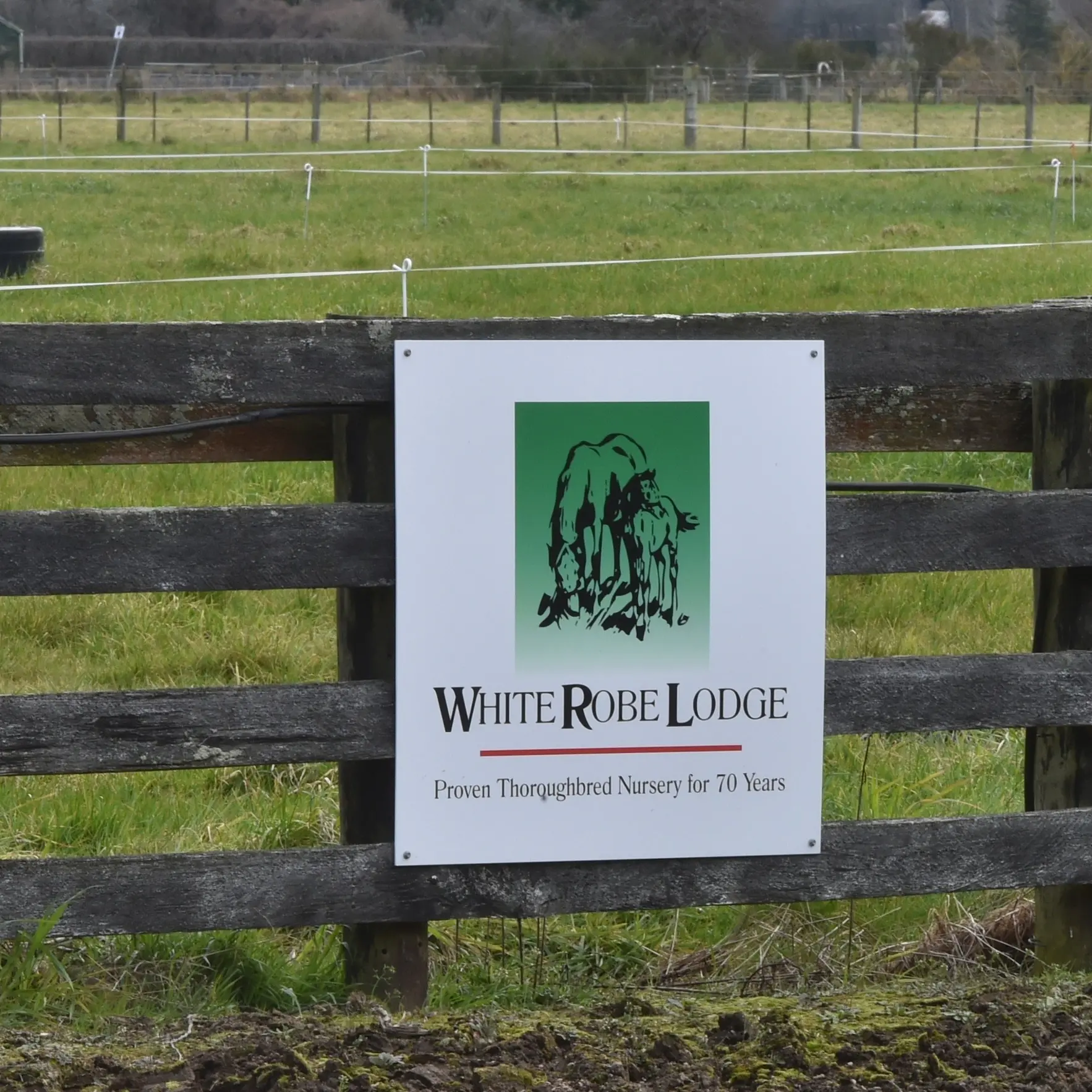Taieri stud farm says inland port would force it to move