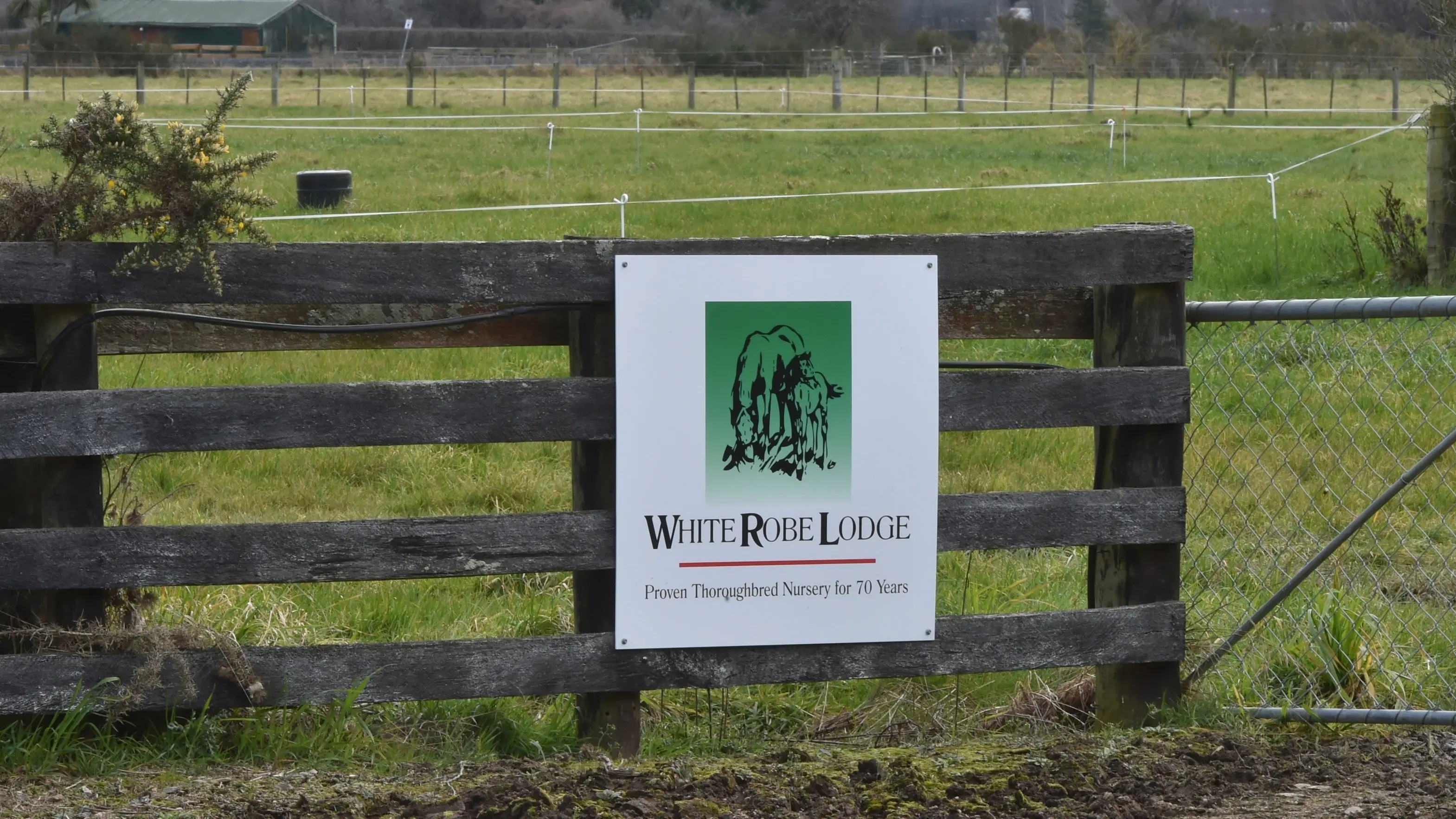 Taieri stud farm says inland port would force it to move