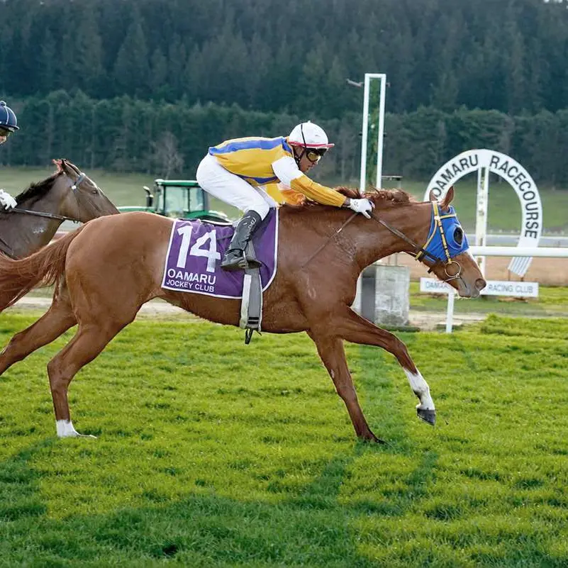 Oamaru Jockey Club ready to fight for future