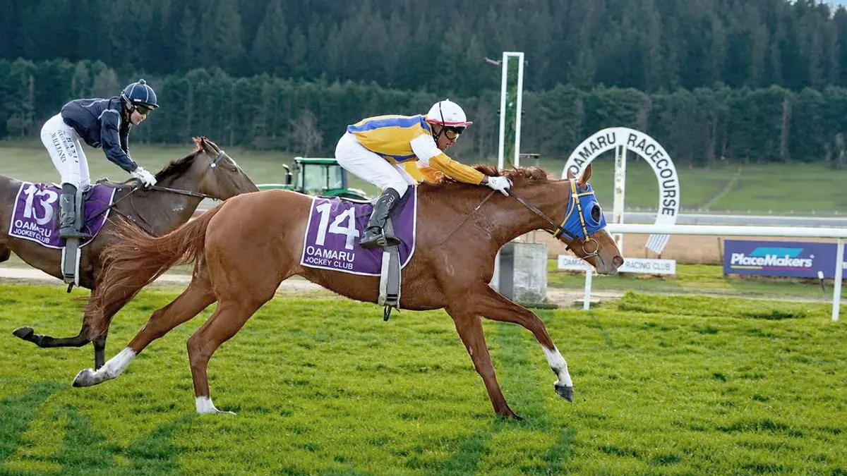 Oamaru Jockey Club ready to fight for future