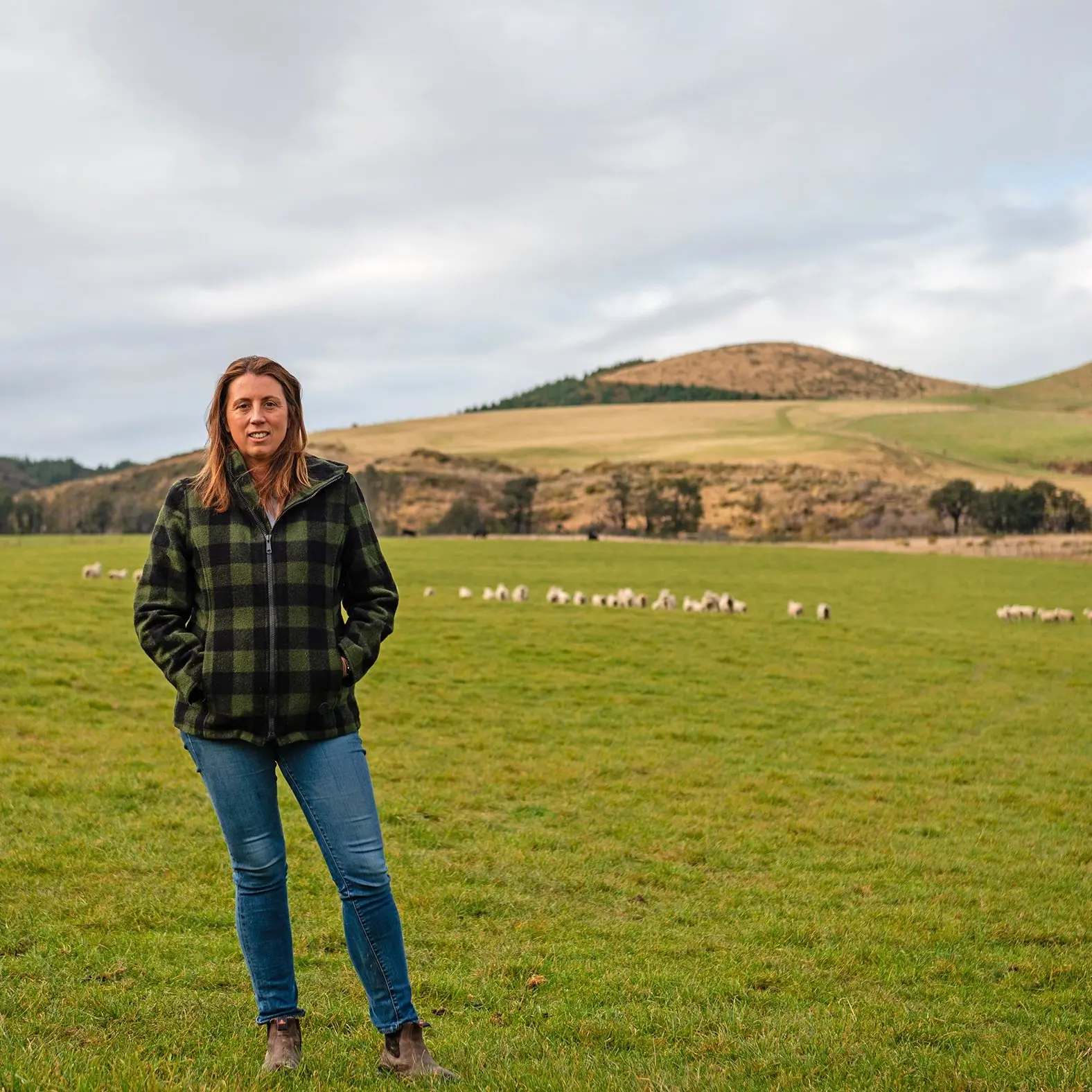 Survey shows shift towards beef cattle