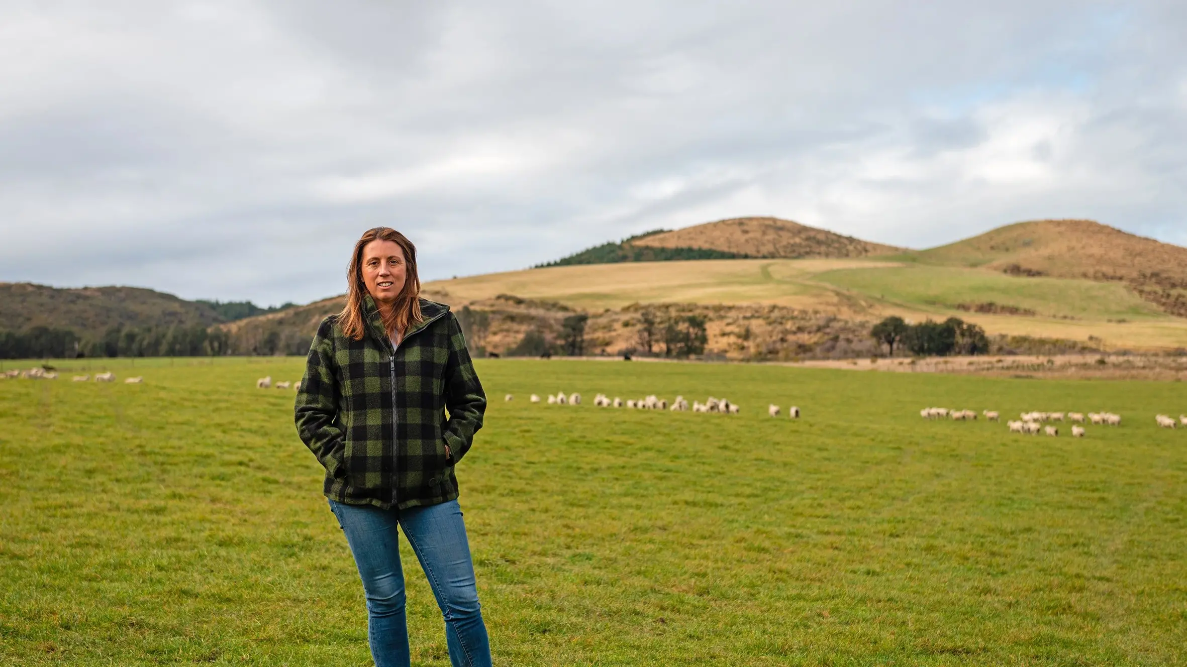 Survey shows shift towards beef cattle