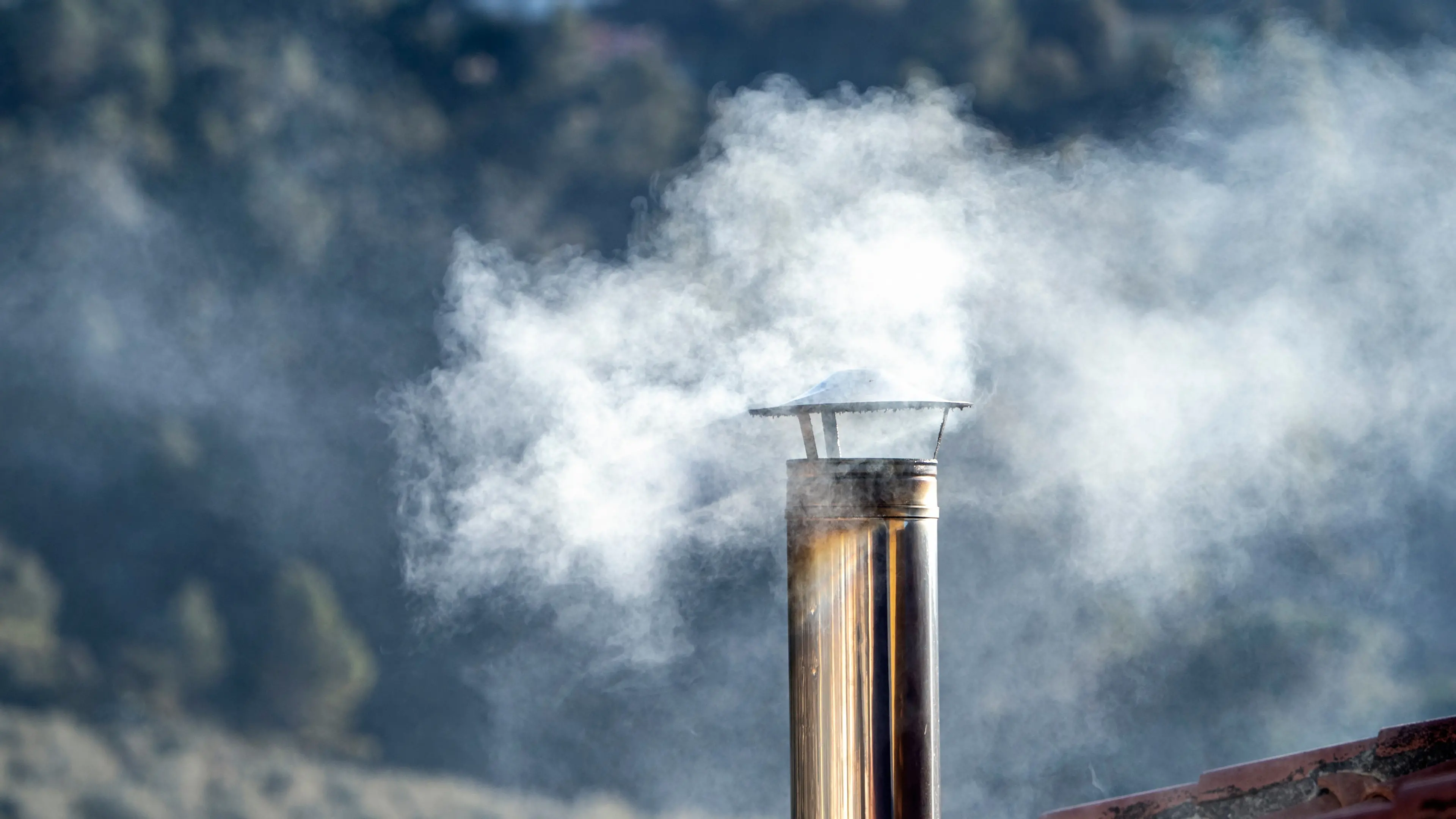 Resident complains about neighbour burning treated timber