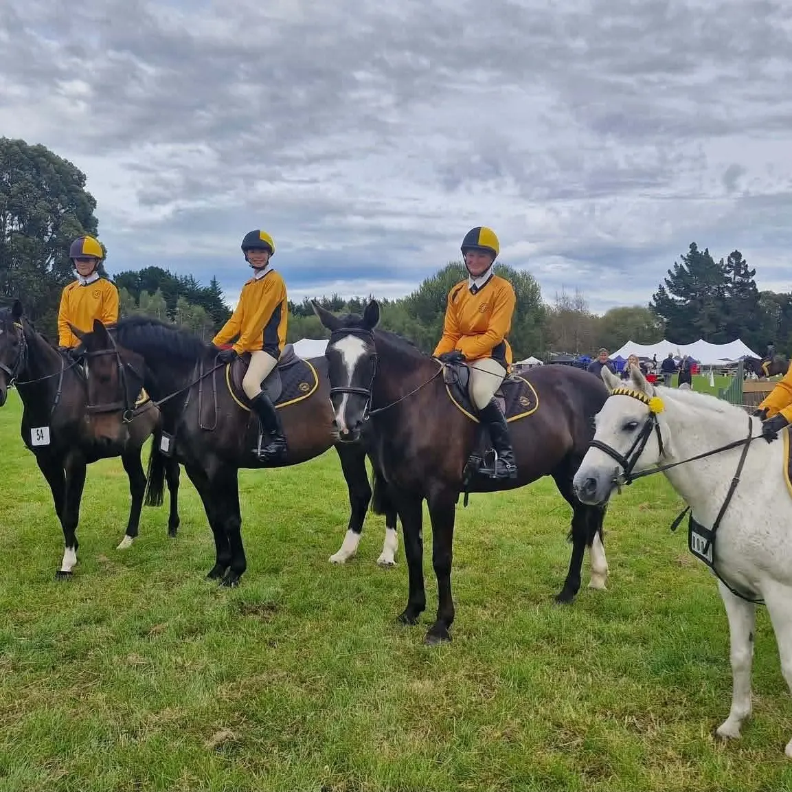 Pony club branch celebrating 75